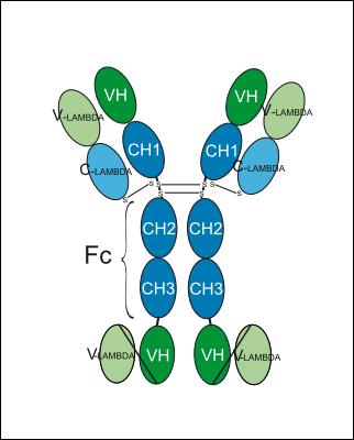 Experimental Validation Results for Xirestomig